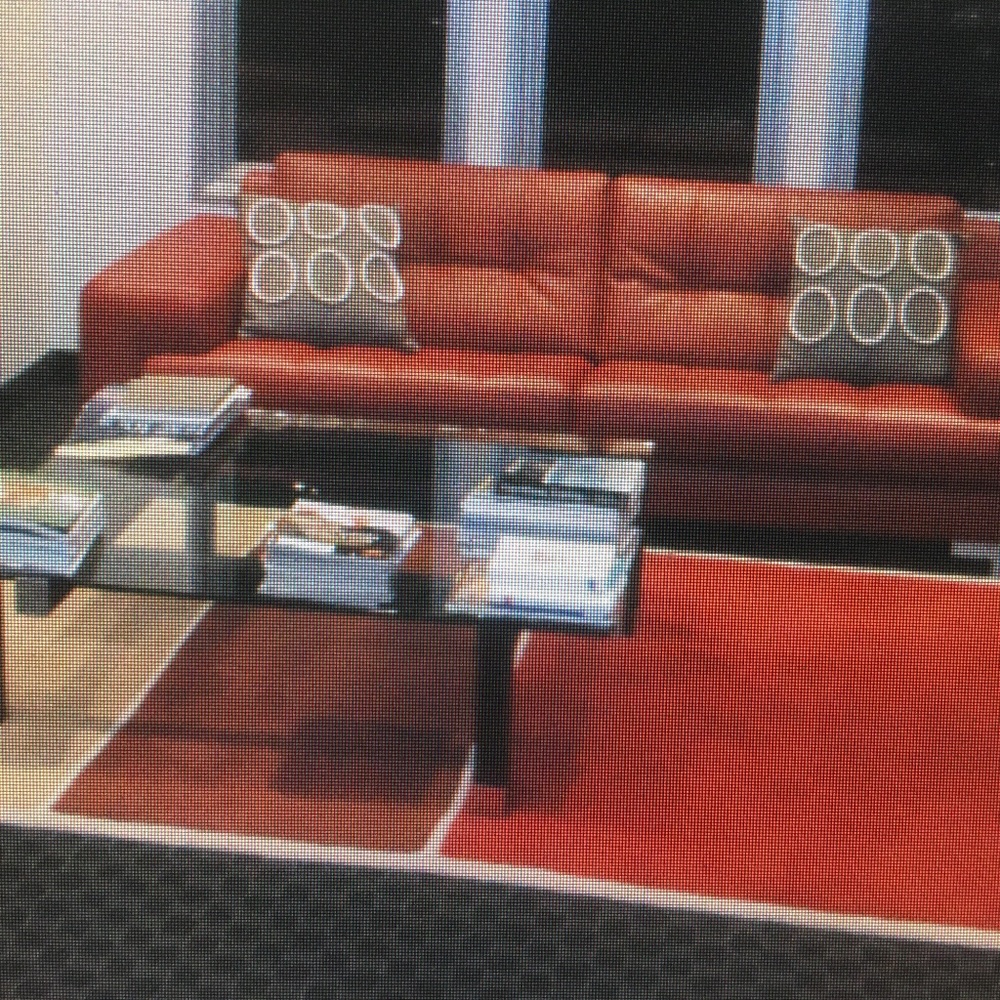 Roche Bobois Rug
